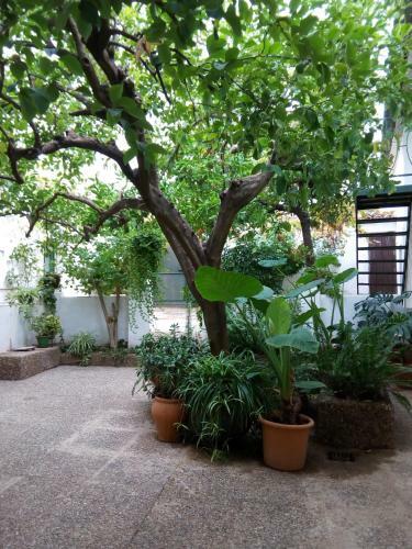 Agroturismo Las Jimenas