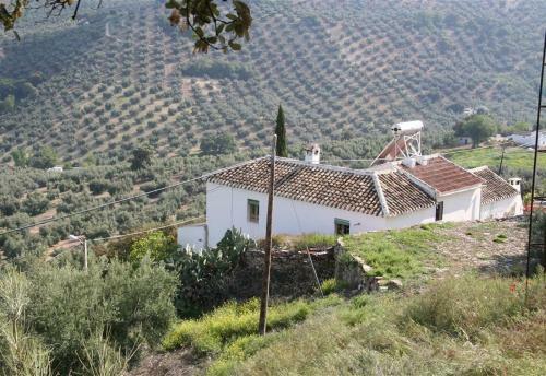 Casa Del Pino