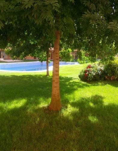 Apartamento Granja-alojamiento Con Parking-gratis