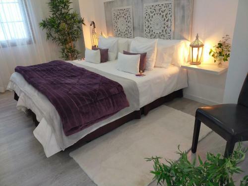 Apartamento Habitaci�n Plaza