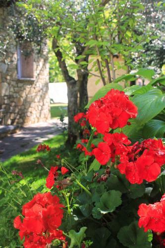 Agroturismo Casitas Del Huerto