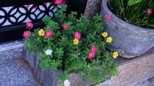 Hotel Homestay B?o Tr�n