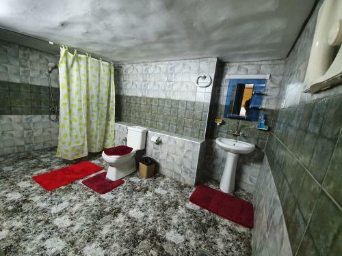 Apartamento Odibat Studioes