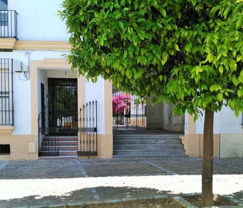 Apartamento Plaza Compa�ia Jerez