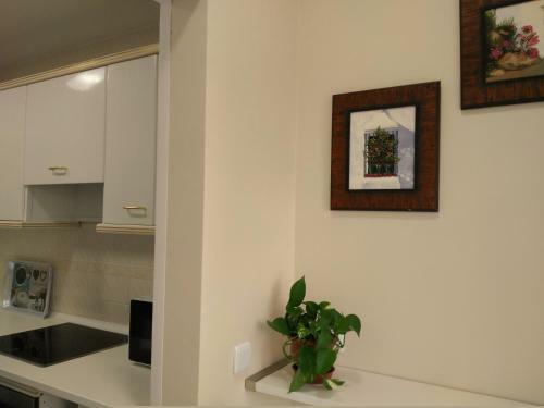 Apartamento Plaza Compa�ia Jerez