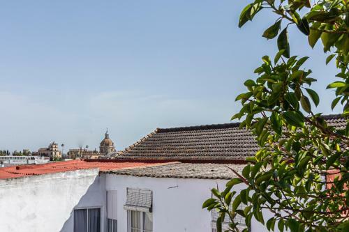 Apartamento Casco Hist�rico Wifi Francos 49d