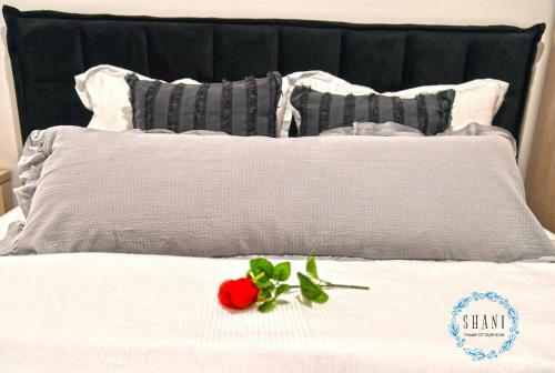 Apartamento Shani House Of Style Suite