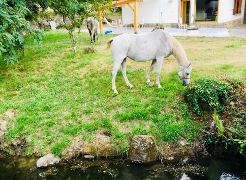Lodge Finca Briab�