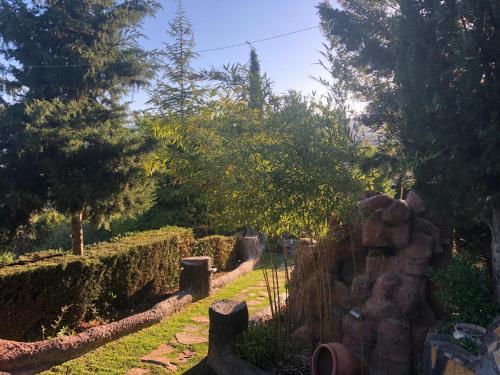 Agroturismo Caba�as de Madera Y Bungalows - Gilma�as 3
