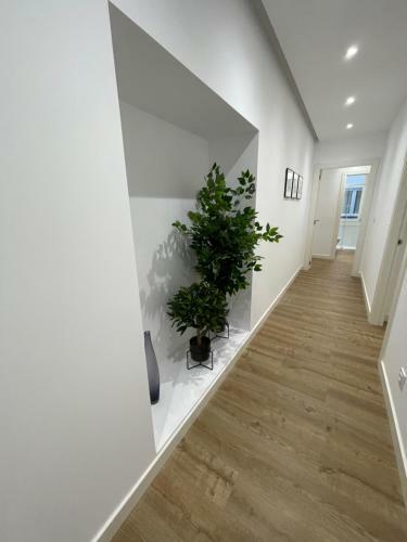 Apartamento Oktheway Real Historic Center