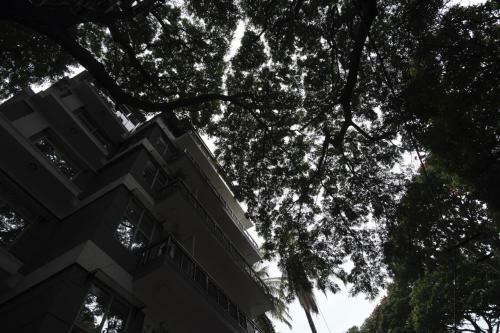 Hotel Ananya Comfortss - Koramangala