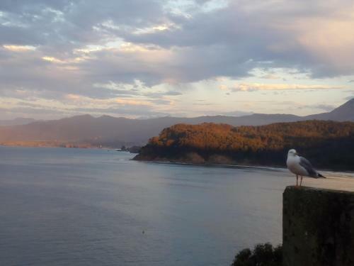 Apartamento El Trasgu