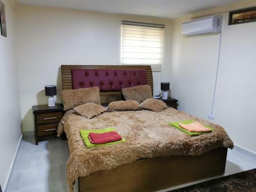 Apartamento Petra 555