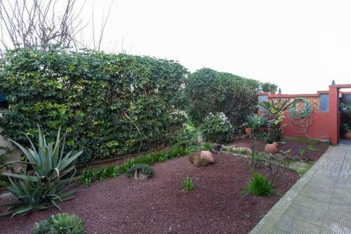 Apartamento La Casa Del Huerto
