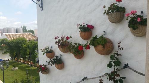 Agroturismo Casa Rural El Arriero