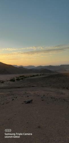 Hotel Bedouin Future Camp