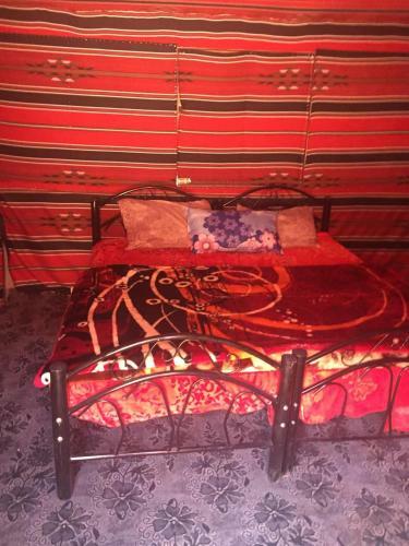 Desert Mars Camp & Tours