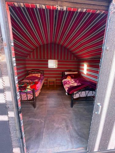 Apartamento Bedouin Mores Camp