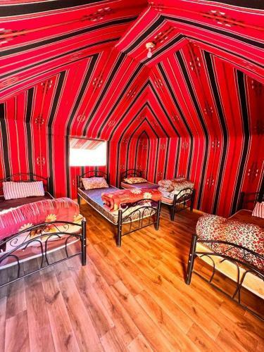 Wadi Rum White Mountain Camp