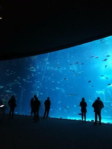 Apartamento Las Canteras Aquarium