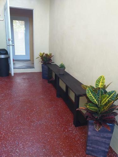 Apartamento Nicoles Nest Brand New Exquisite Studio Hideaway