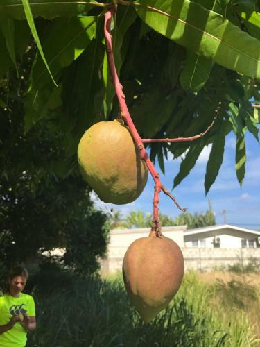 Shimmers, Stunning, Stylish West Coast Villa