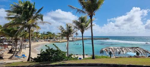 Apartamento Superbe Studio Laya En Bord de Mer
