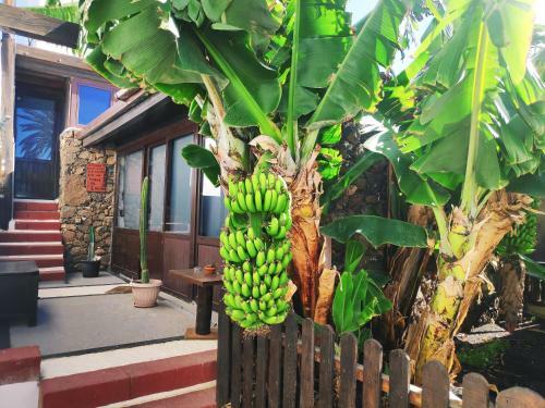 Apartamento Finca Luc�a - El Mirador