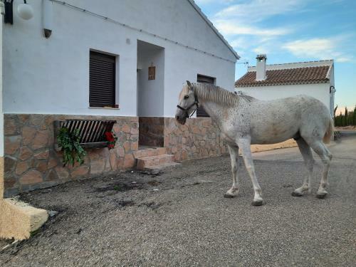 Hotel Velad Sierra de Maria