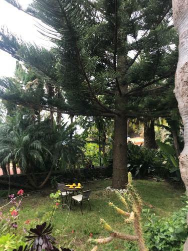 Agroturismo La Casita de Mazo