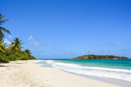 Apartamento Holidays In Martinique - Ravenala