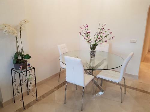 Arles Apartement