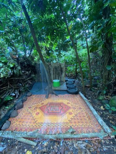 Bed & Breakfast La Casa de Vida Natural