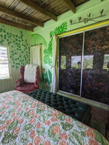 Bed & Breakfast La Casa de Vida Natural