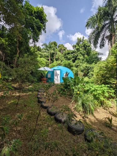 Bed & Breakfast La Casa de Vida Natural