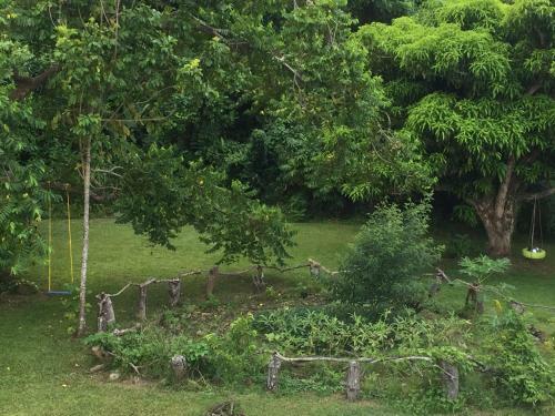 Bed & Breakfast La Casa de Vida Natural