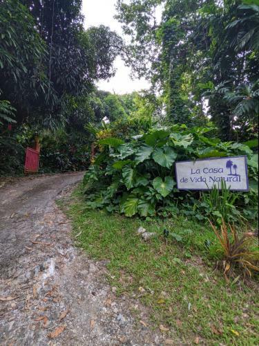 Bed & Breakfast La Casa de Vida Natural