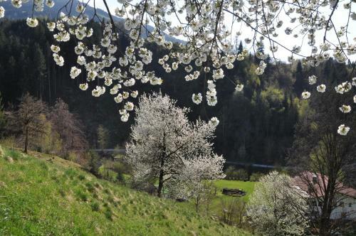Hostal G�stehaus Pension Edelweiss