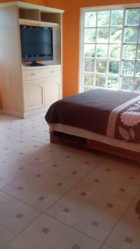 Casa En Renta En Morelos
