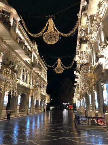 Nizami Street Vip Apartment