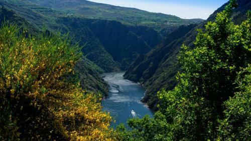 Morin Grey Casa En El Coraz�n de La Ribeira Sacra