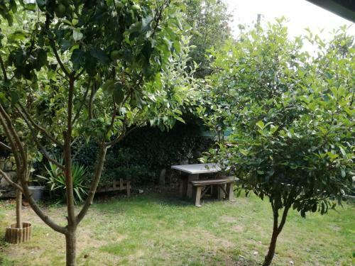 Casa de Requeixo- Ribeira Sacra