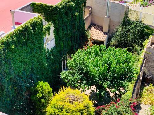 Apartamento Casa Anton de Novelda