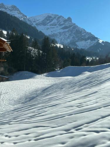 Apartamento Gassi 4 Adelboden