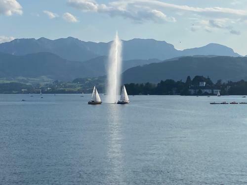 Neues Traunsee Apartment Altm�nster