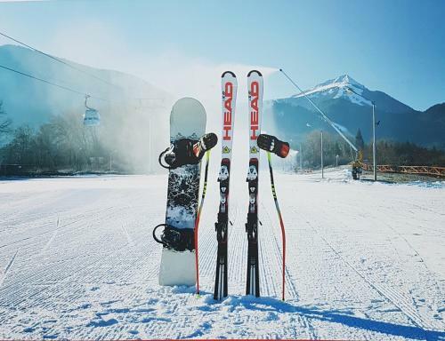 Family 2 Bed Apartment In Bansko