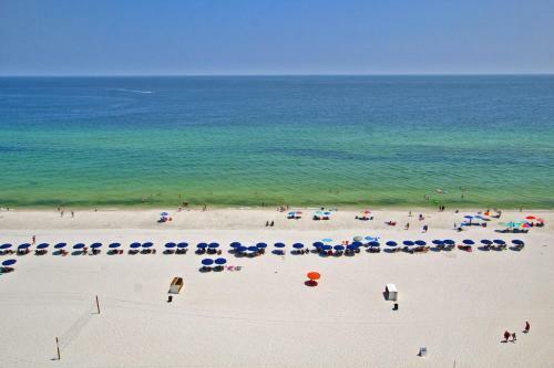 Summerchase 1108 By Youngs Suncoast