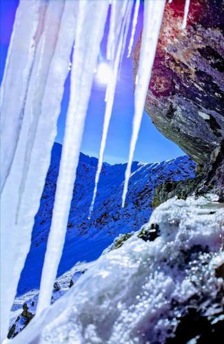 Apart Waldesruh