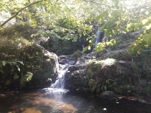 La Casita de La Se�ora Mar�a