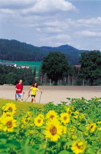 Hotel Hubertus